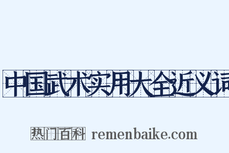 中国武术实用大全近义词是什么意思的图片